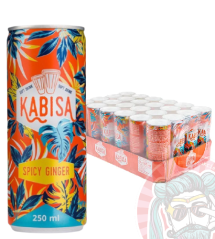 Kabisa Spicy Ginger Drink Karton (24x250ml)