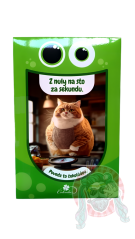 Bláznivá Čokoláda 50g SK