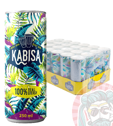 Kabisa 100% Real Energy Karton (24x250ml)